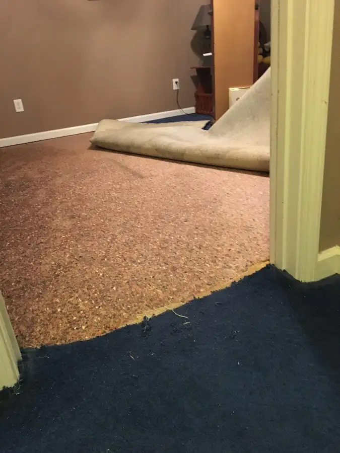 Carpet pad removal revealing water damage during Water Mitigation Services in Brownville