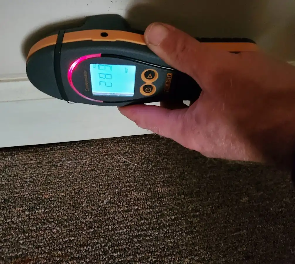 Moisture detection at baseboard during Burst Pipe Cleanup in Brownville